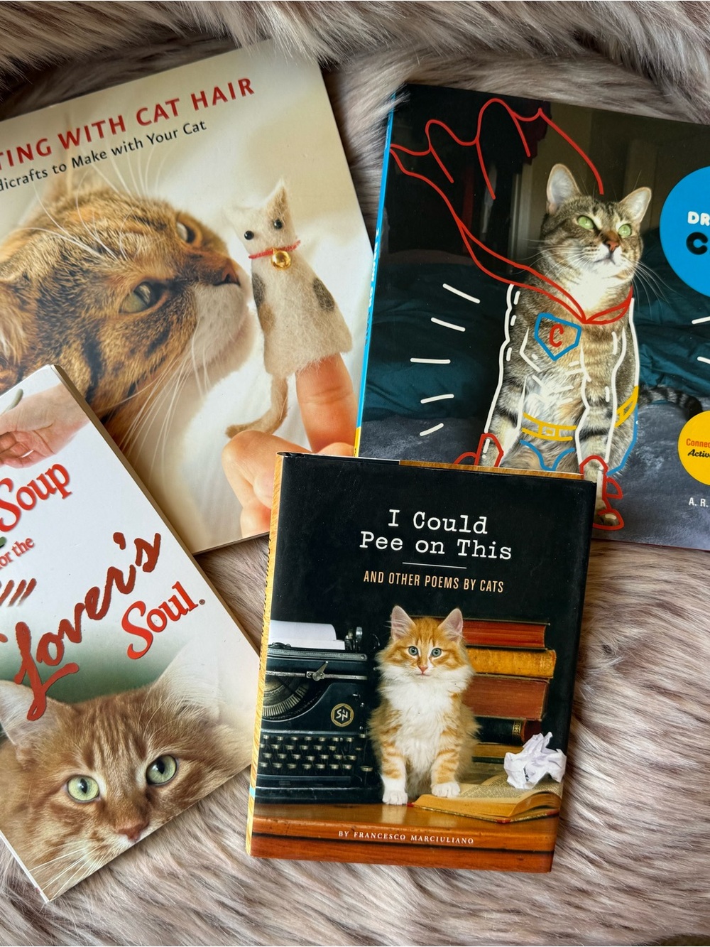 Cat Lovers Books 4
